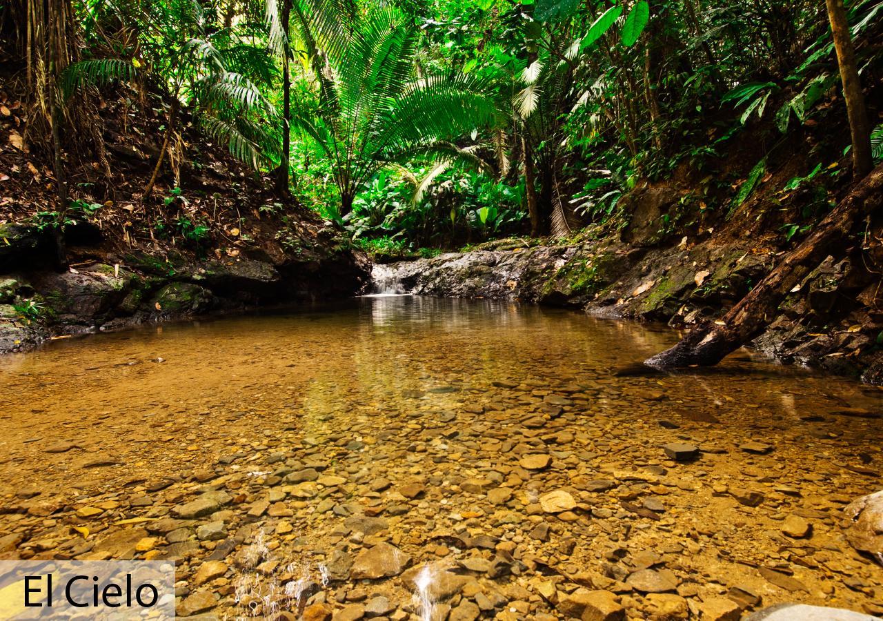 Tacarcuna Lodge Capurganá Exteriér fotografie